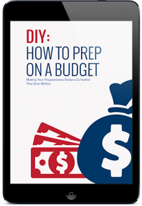 phq-report-prep-on-a-budget