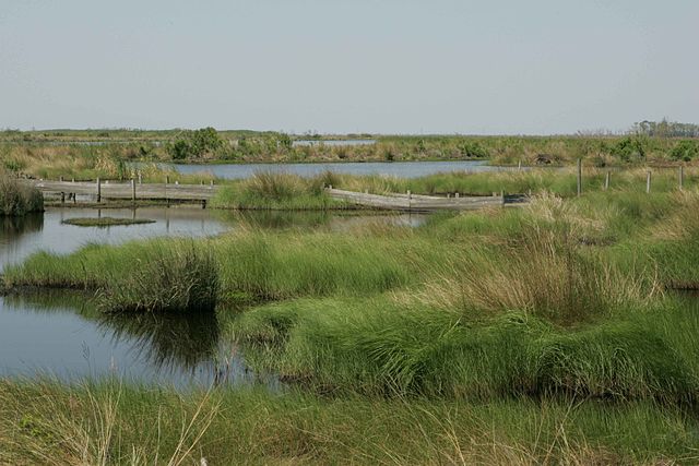 homemade water filter