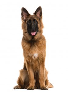 gettyimages-508857290-1