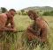 survival tv shows